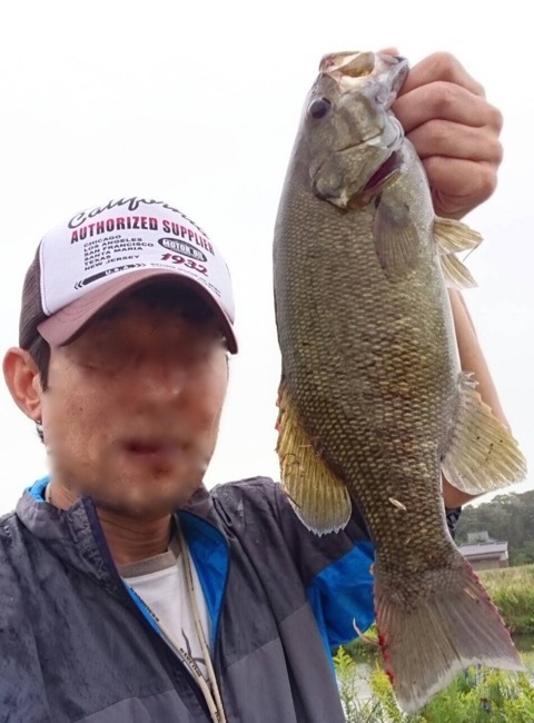 新フィールド 新フィールド