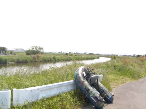 2016年総括