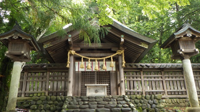 諏訪湖の花火大会!!ポンコツ現れる(゚ε゚*)。 諏訪湖の花火大会!!ポンコツ現れる(゚ε゚*)。