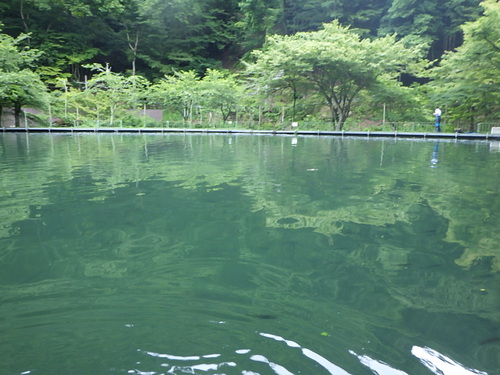 「醒ヶ井養鱒場」エントリーついでに釣行    その１