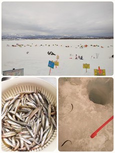 今年最初で最後のわかさぎ釣り 2021/03/01 14:04:12