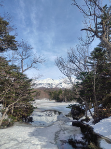 知床五湖へ 2025/04/15 18:07:30