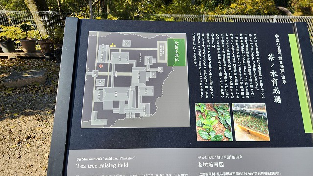 2024年12月 宇治 興聖寺 紅葉鑑賞 2024年12月 宇治 興聖寺 紅葉鑑賞