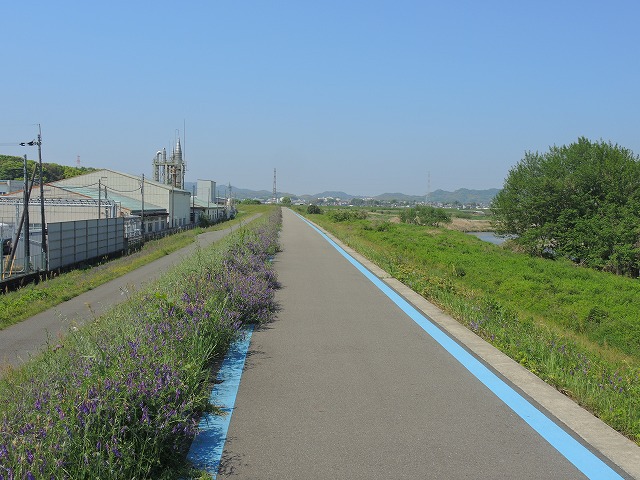 2025年4月 紀の川サイクリング 2025年4月 紀の川サイクリング