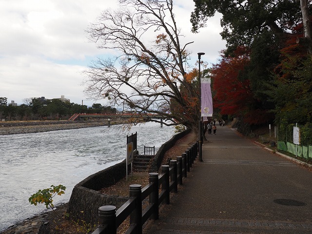 2024年12月 宇治 興聖寺 紅葉鑑賞 2024年12月 宇治 興聖寺 紅葉鑑賞